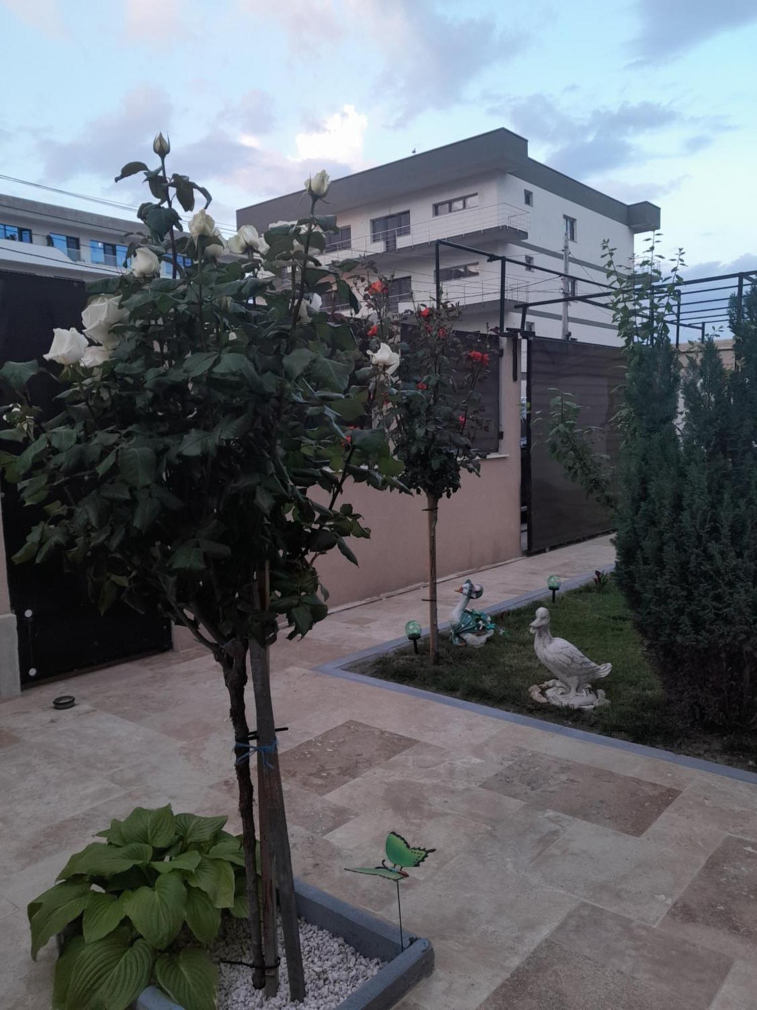 ナボダリCasa Andreiアパートメント エクステリア 写真